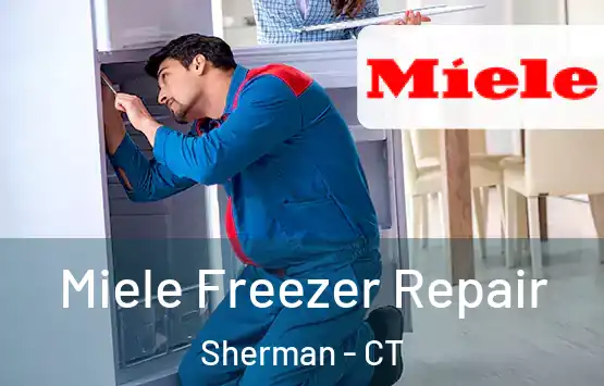  Miele Freezer Repair Sherman - CT