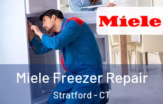  Miele Freezer Repair Stratford - CT