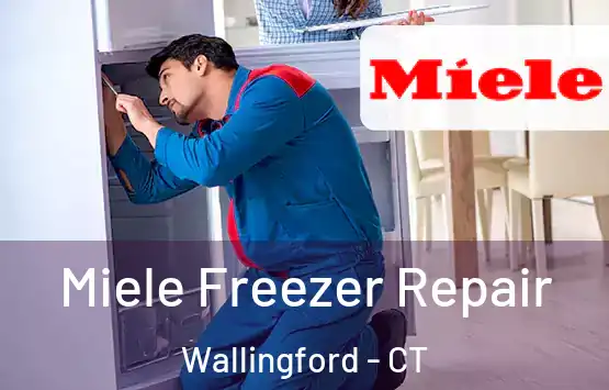  Miele Freezer Repair Wallingford - CT