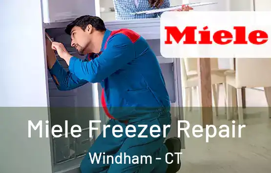  Miele Freezer Repair Windham - CT