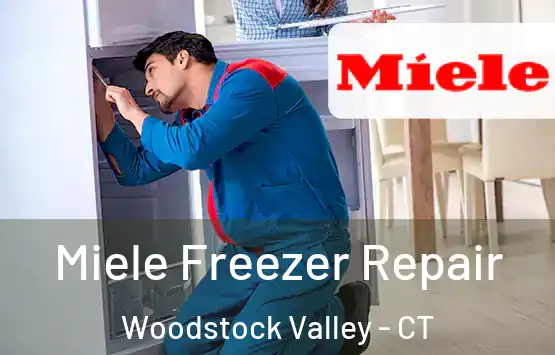  Miele Freezer Repair Woodstock Valley - CT