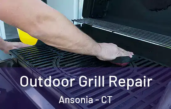  Outdoor Grill Repair Ansonia - CT
