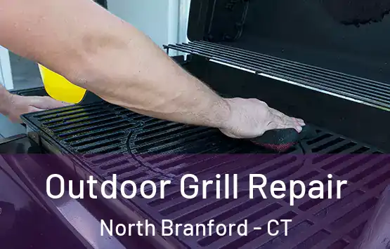  Outdoor Grill Repair North Branford - CT