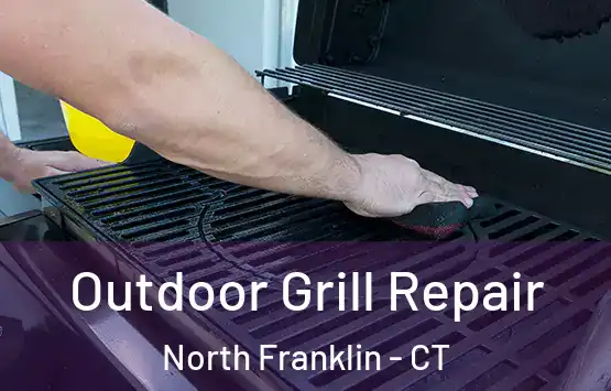  Outdoor Grill Repair North Franklin - CT
