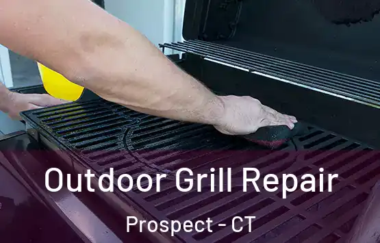  Outdoor Grill Repair Prospect - CT