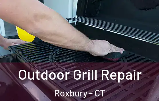  Outdoor Grill Repair Roxbury - CT