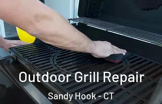 Outdoor Grill Repair Sandy Hook - CT