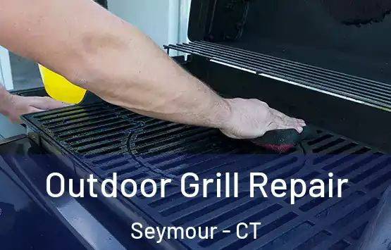  Outdoor Grill Repair Seymour - CT