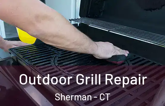  Outdoor Grill Repair Sherman - CT