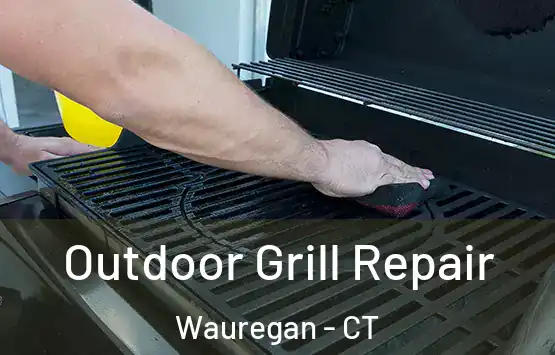  Outdoor Grill Repair Wauregan - CT