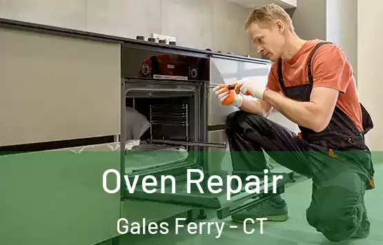  Oven Repair Gales Ferry - CT