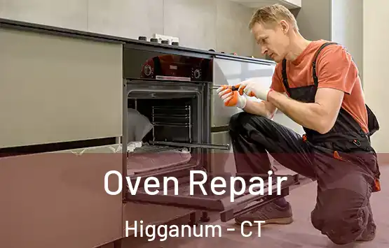 Oven Repair Higganum - CT
