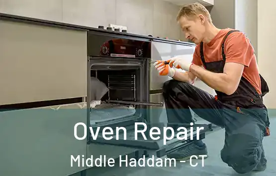  Oven Repair Middle Haddam - CT