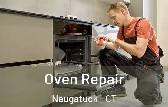  Oven Repair Naugatuck - CT