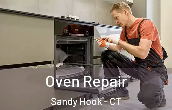  Oven Repair Sandy Hook - CT