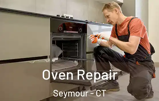  Oven Repair Seymour - CT