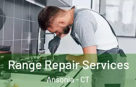  Range Repair Services Ansonia - CT