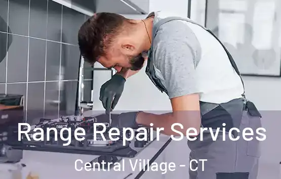  Range Repair Services Central Village - CT