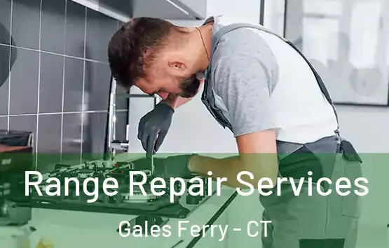  Range Repair Services Gales Ferry - CT