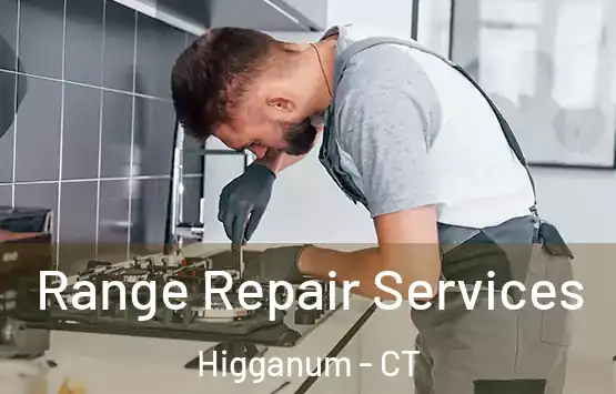  Range Repair Services Higganum - CT
