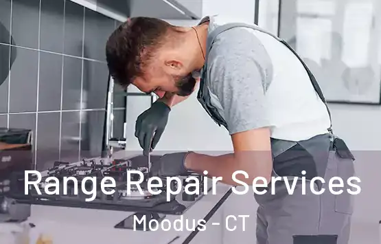  Range Repair Services Moodus - CT