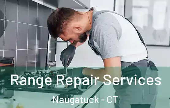  Range Repair Services Naugatuck - CT