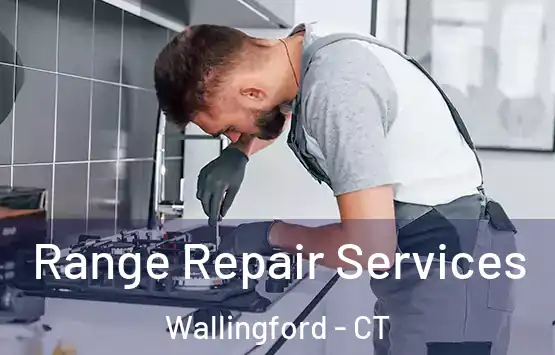  Range Repair Services Wallingford - CT