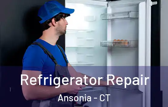  Refrigerator Repair Ansonia - CT
