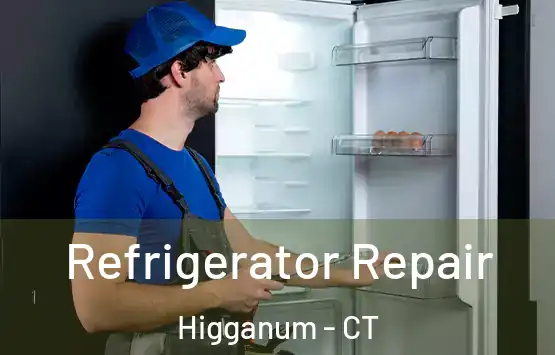  Refrigerator Repair Higganum - CT