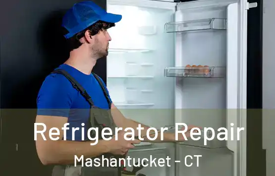  Refrigerator Repair Mashantucket - CT