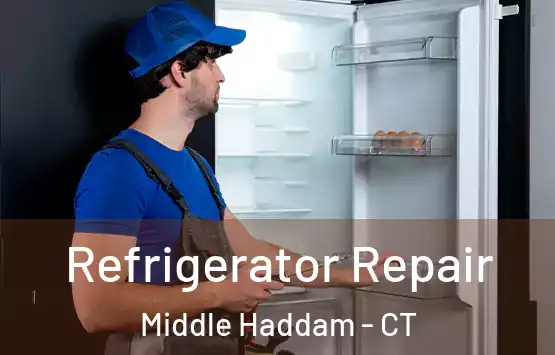  Refrigerator Repair Middle Haddam - CT