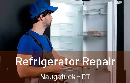  Refrigerator Repair Naugatuck - CT