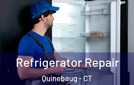  Refrigerator Repair Quinebaug - CT
