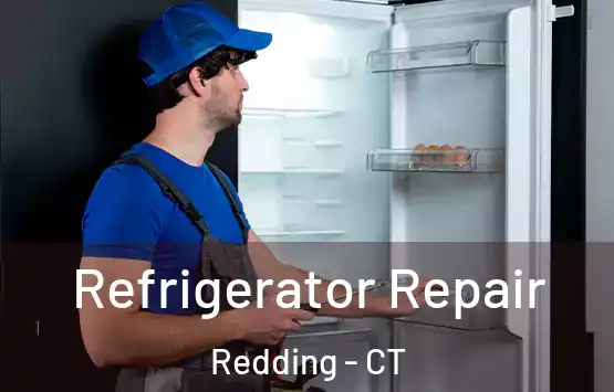  Refrigerator Repair Redding - CT