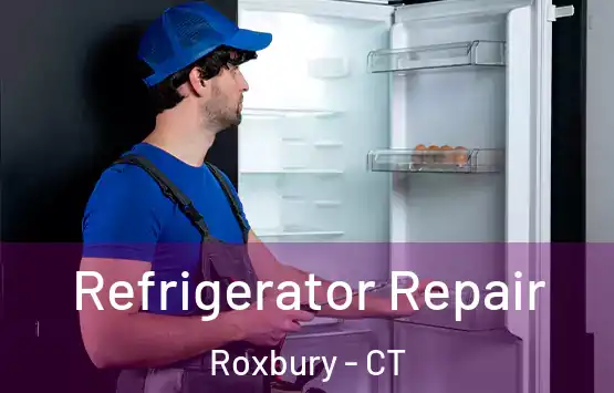  Refrigerator Repair Roxbury - CT