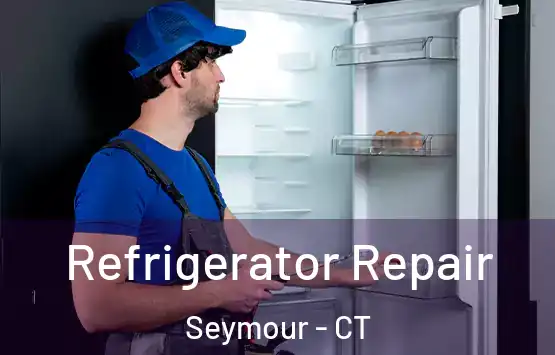  Refrigerator Repair Seymour - CT