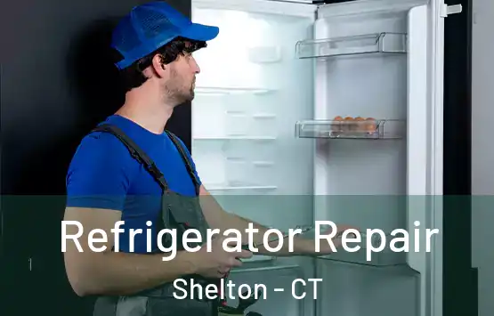  Refrigerator Repair Shelton - CT