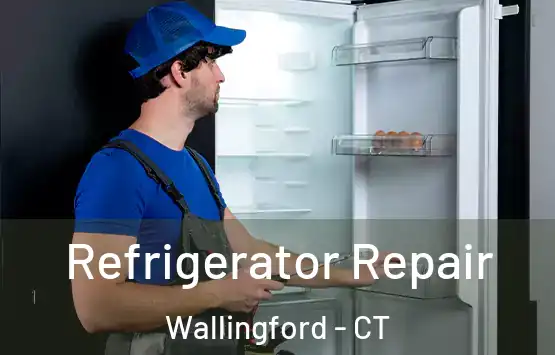  Refrigerator Repair Wallingford - CT