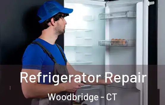  Refrigerator Repair Woodbridge - CT