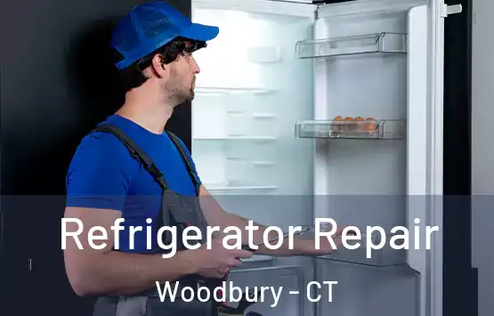  Refrigerator Repair Woodbury - CT