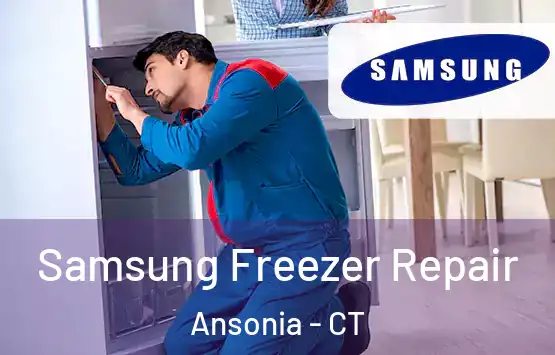  Samsung Freezer Repair Ansonia - CT