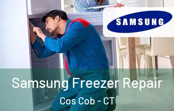  Samsung Freezer Repair Cos Cob - CT