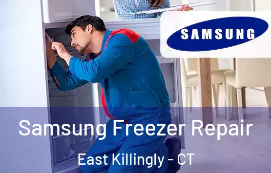  Samsung Freezer Repair East Killingly - CT