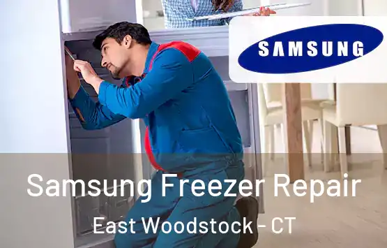 Samsung Freezer Repair East Woodstock - CT
