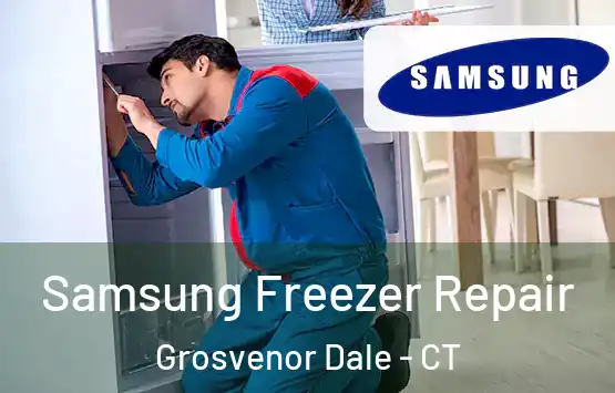  Samsung Freezer Repair Grosvenor Dale - CT