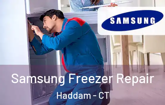  Samsung Freezer Repair Haddam - CT