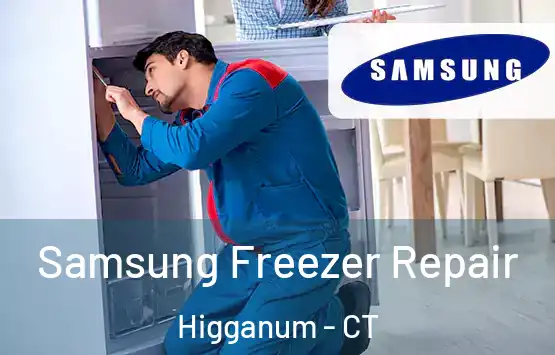  Samsung Freezer Repair Higganum - CT