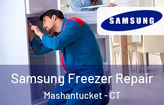  Samsung Freezer Repair Mashantucket - CT