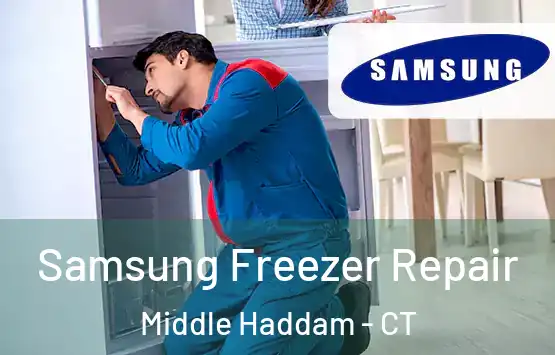  Samsung Freezer Repair Middle Haddam - CT