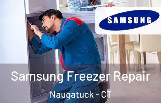  Samsung Freezer Repair Naugatuck - CT